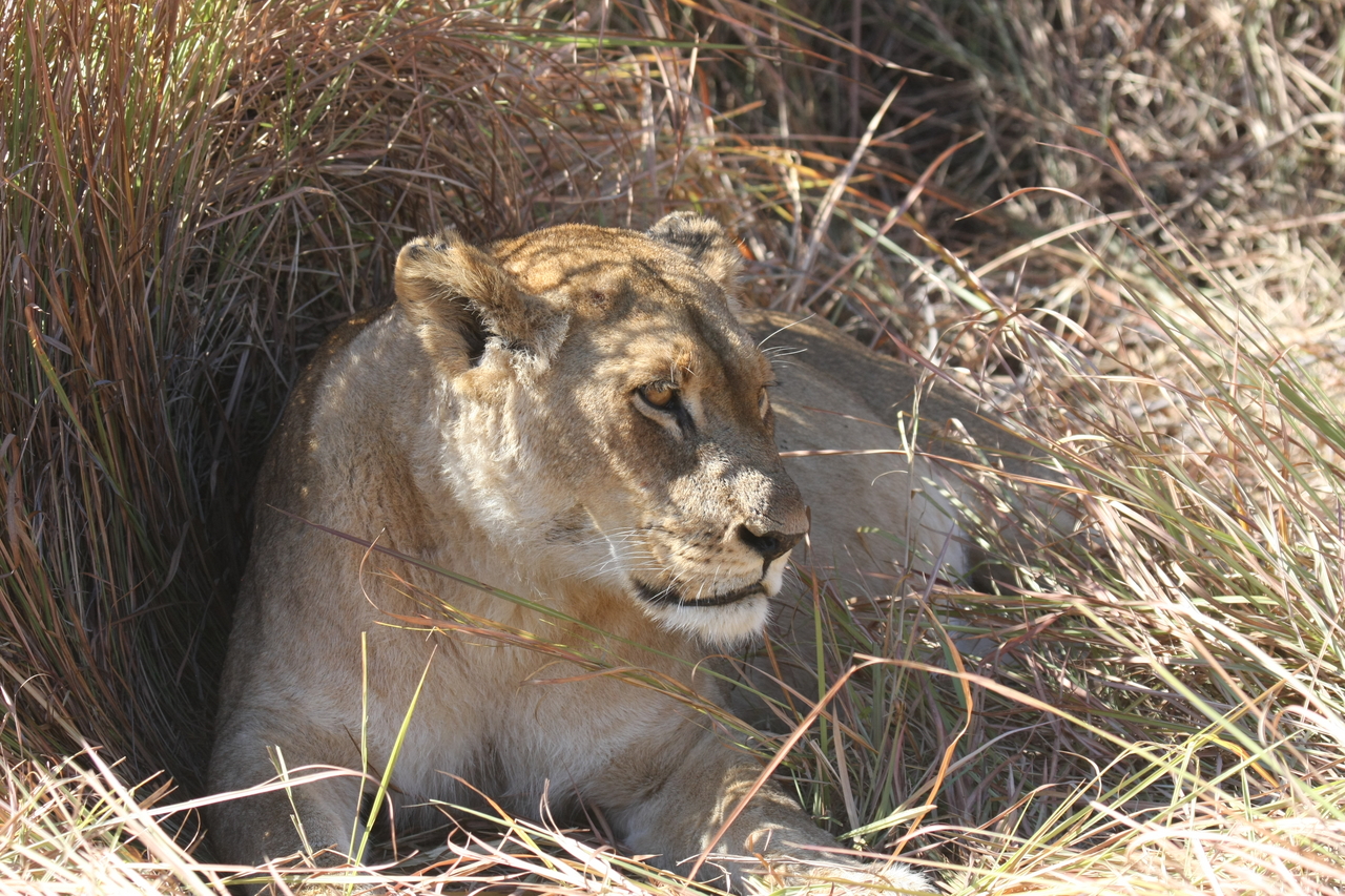 [18611] 2016_06_28_04_03_27_Africa_Canon_EOS_40D_IMG__10130.jpg
