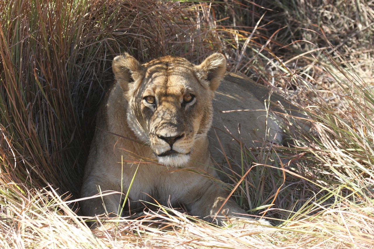 [18616] 2016_06_28_04_03_33_Africa_Canon_EOS_40D_IMG__10131.jpg