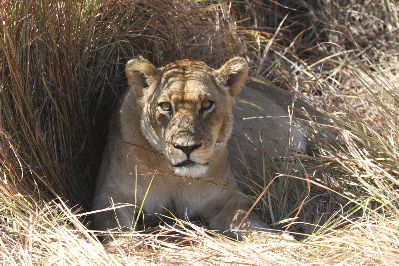 [18617] 2016_06_28_04_03_33_Africa_Canon_EOS_40D_IMG__10132.jpg