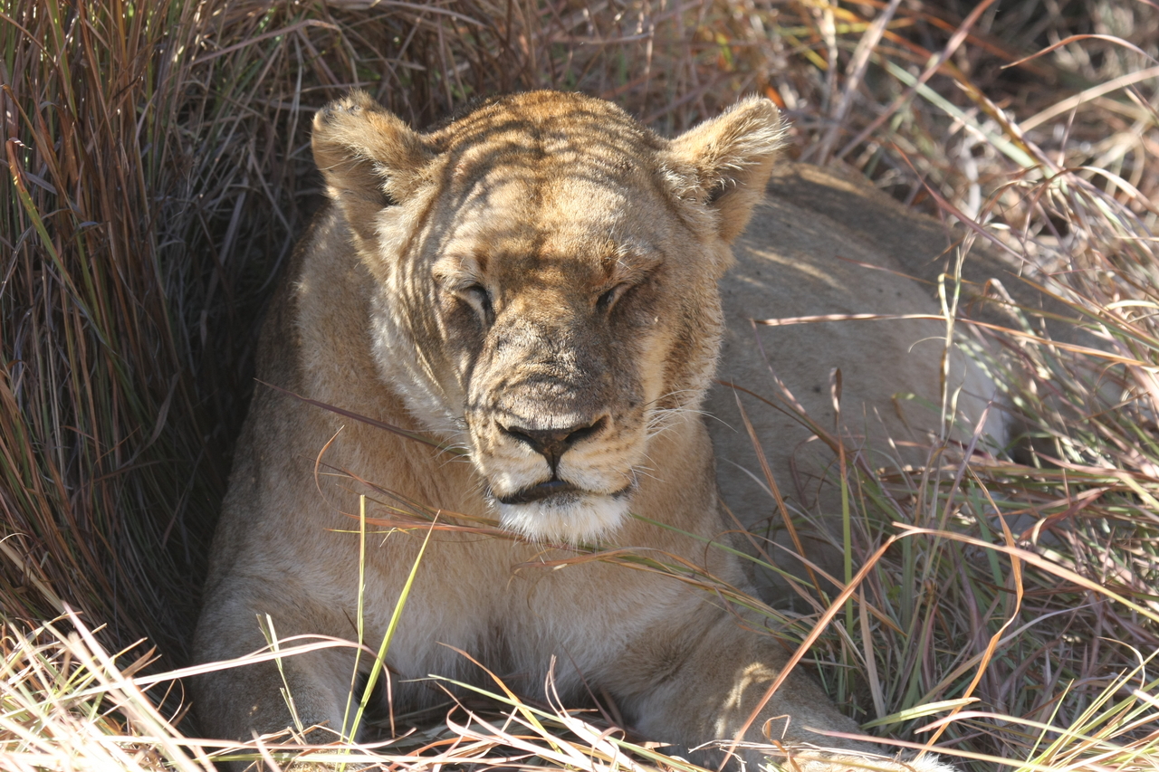 [18624] 2016_06_28_04_03_36_Africa_Canon_EOS_40D_IMG__00301.jpg