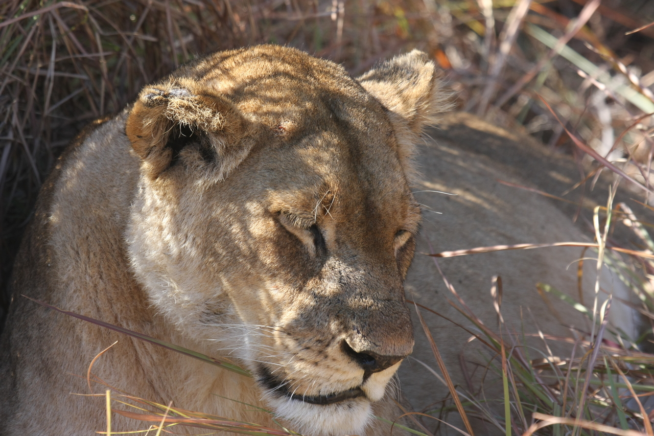 [18640] 2016_06_28_04_04_08_Africa_Canon_EOS_40D_IMG__10140.jpg