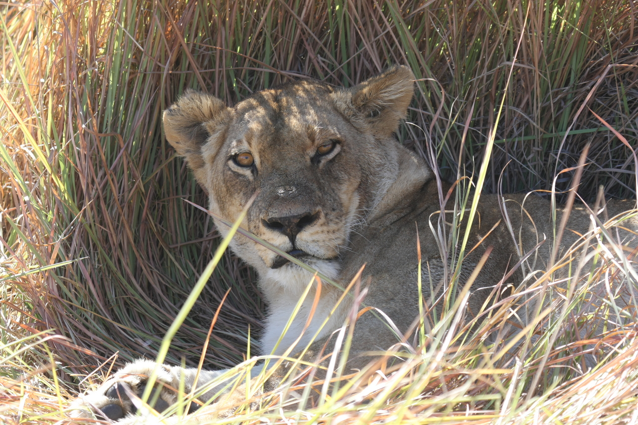 [18668] 2016_06_28_04_15_42_Africa_Canon_EOS_40D_IMG__02704.jpg