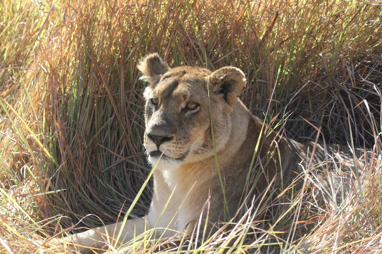 [18759] 2016_06_28_04_17_42_Africa_Canon_EOS_40D_IMG__00352.jpg