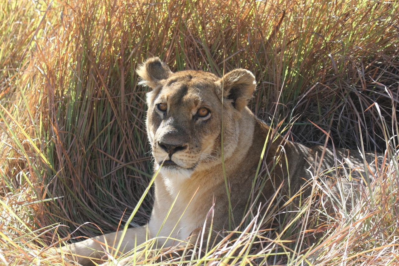 [18764] 2016_06_28_04_17_42_Africa_Canon_EOS_40D_IMG__02741.jpg