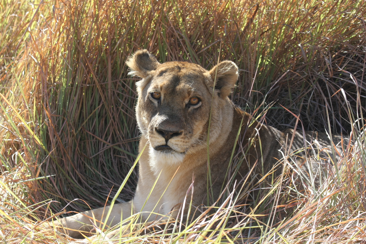 [18776] 2016_06_28_04_17_43_Africa_Canon_EOS_40D_IMG__10191.jpg