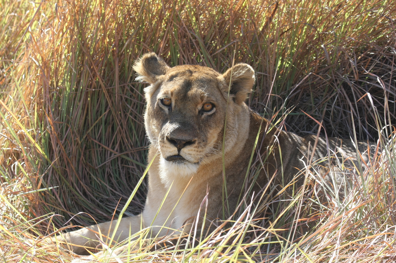 [18777] 2016_06_28_04_17_44_Africa_Canon_EOS_40D_IMG__00359.jpg