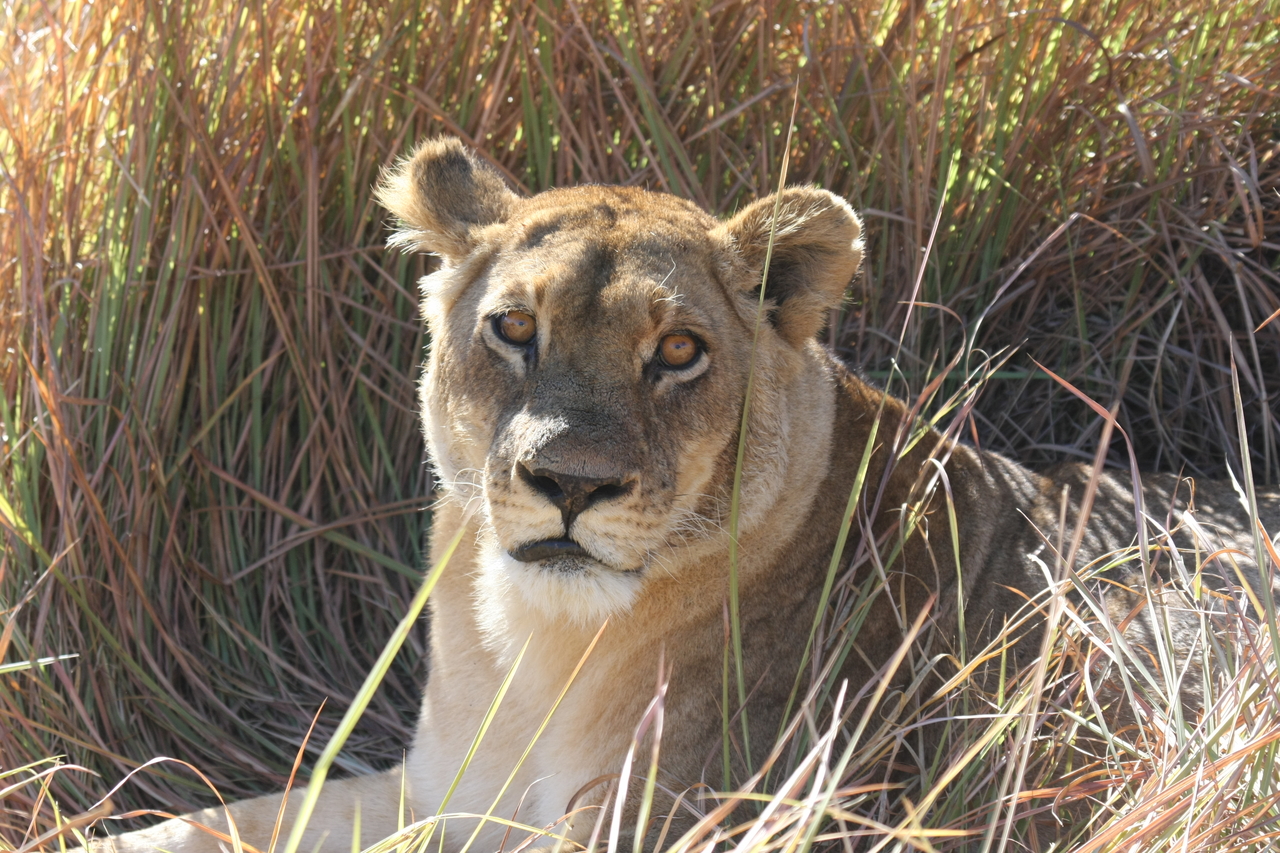 [18785] 2016_06_28_04_17_46_Africa_Canon_EOS_40D_IMG__00363.jpg