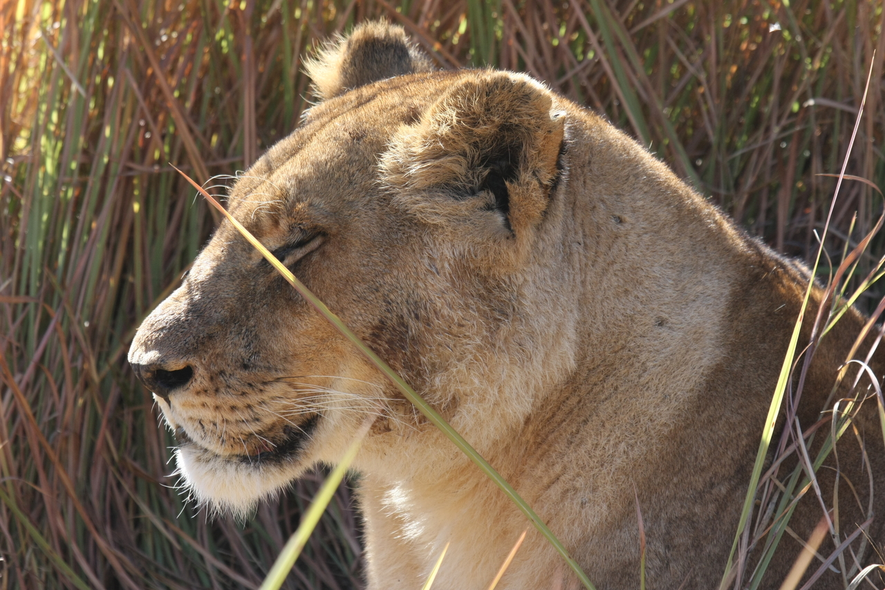 [18805] 2016_06_28_04_18_03_Africa_Canon_EOS_40D_IMG__00370.jpg