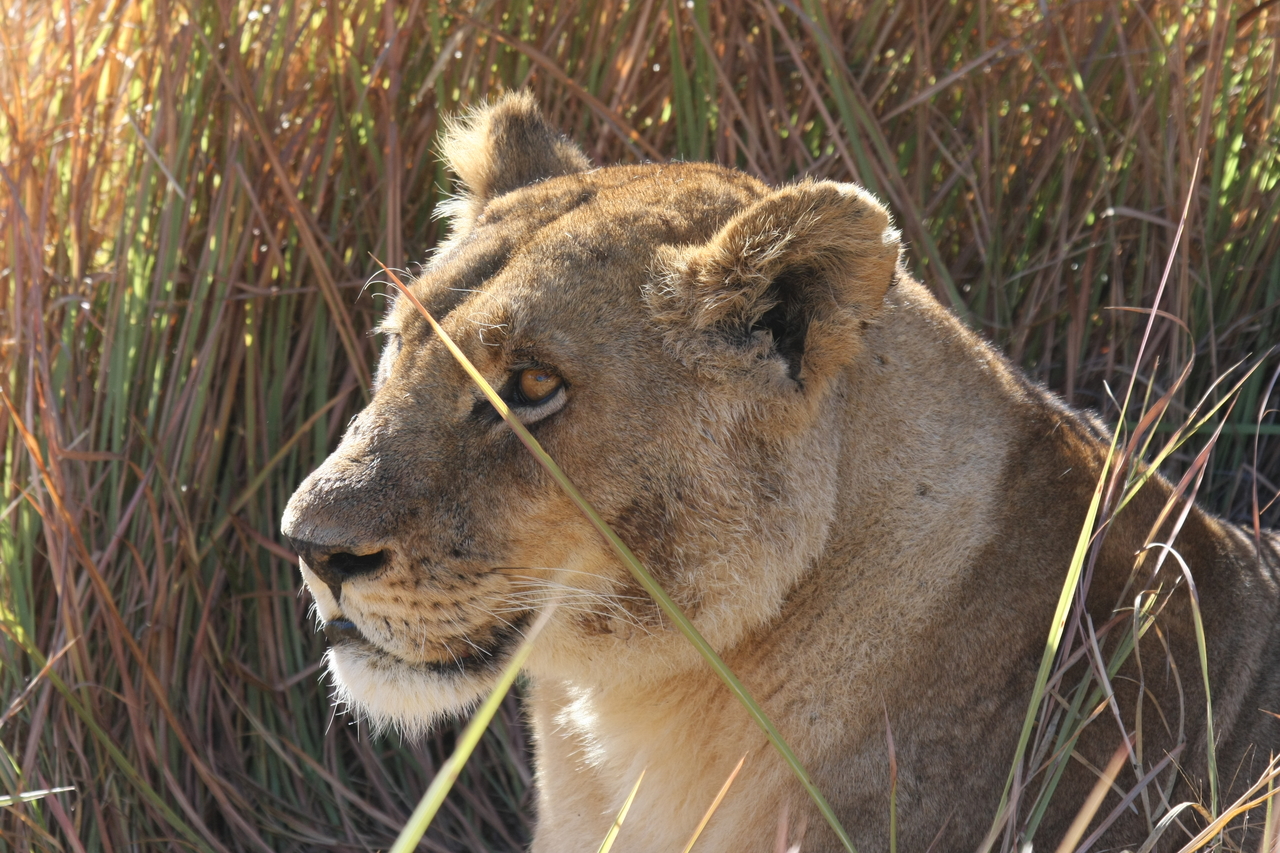 [18820] 2016_06_28_04_18_07_Africa_Canon_EOS_40D_IMG__02759.jpg