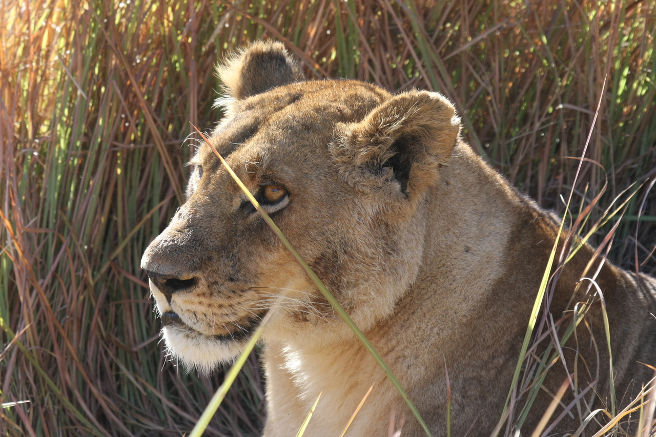 [18824] 2016_06_28_04_18_07_Africa_Canon_EOS_40D_IMG__10207.jpg