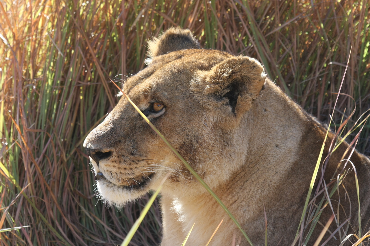 [18827] 2016_06_28_04_18_12_Africa_Canon_EOS_40D_IMG__00376.jpg