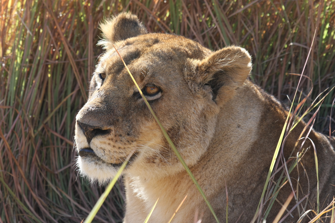 [18837] 2016_06_28_04_18_15_Africa_Canon_EOS_40D_IMG__02766.jpg