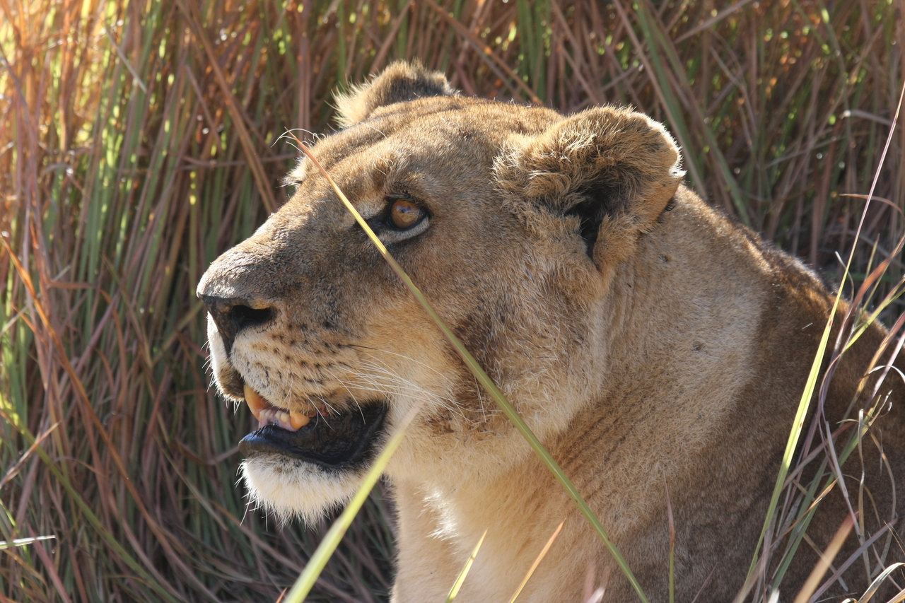 [18848] 2016_06_28_04_18_18_Africa_Canon_EOS_40D_IMG__00384.jpg