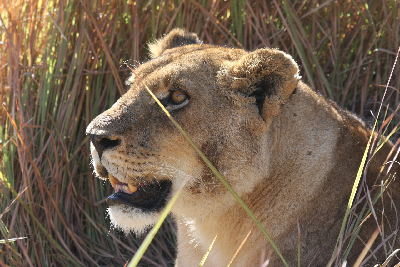 [18852] 2016_06_28_04_18_18_Africa_Canon_EOS_40D_IMG__02772.jpg