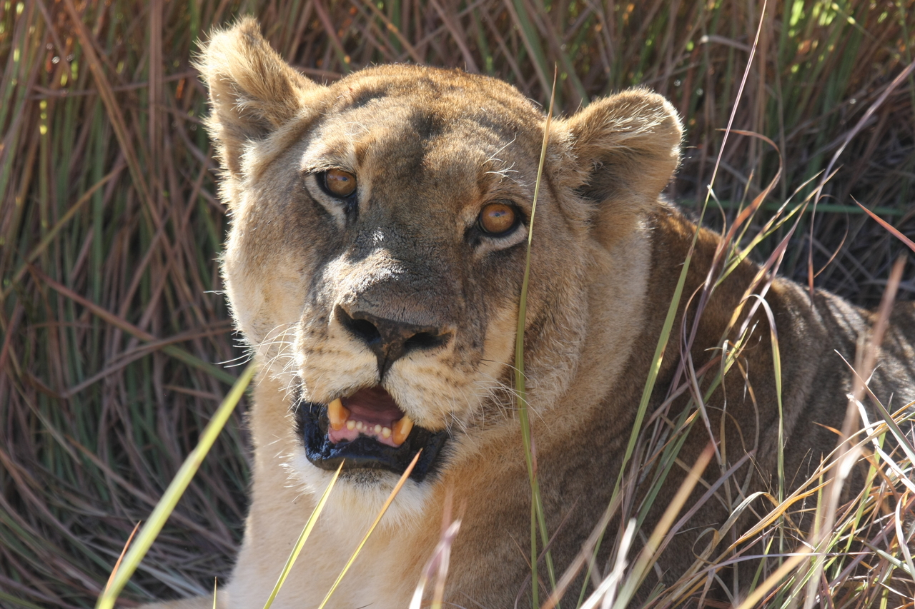 [18884] 2016_06_28_04_18_28_Africa_Canon_EOS_40D_IMG__10229.jpg
