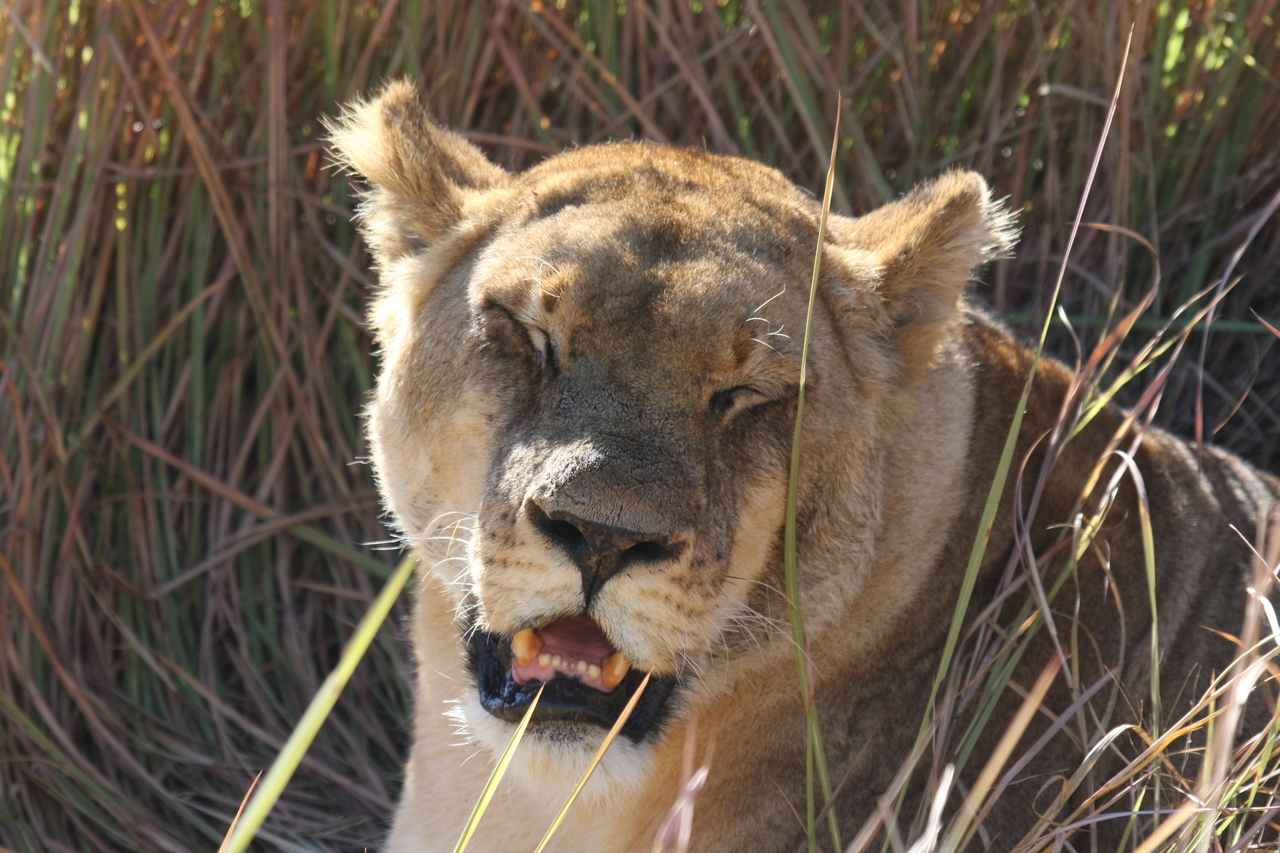 [18904] 2016_06_28_04_18_32_Africa_Canon_EOS_40D_IMG__00404.jpg