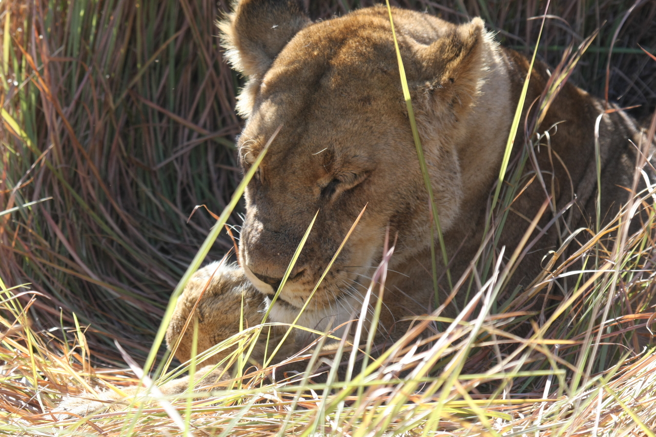 [18912] 2016_06_28_04_18_39_Africa_Canon_EOS_40D_IMG__00408.jpg