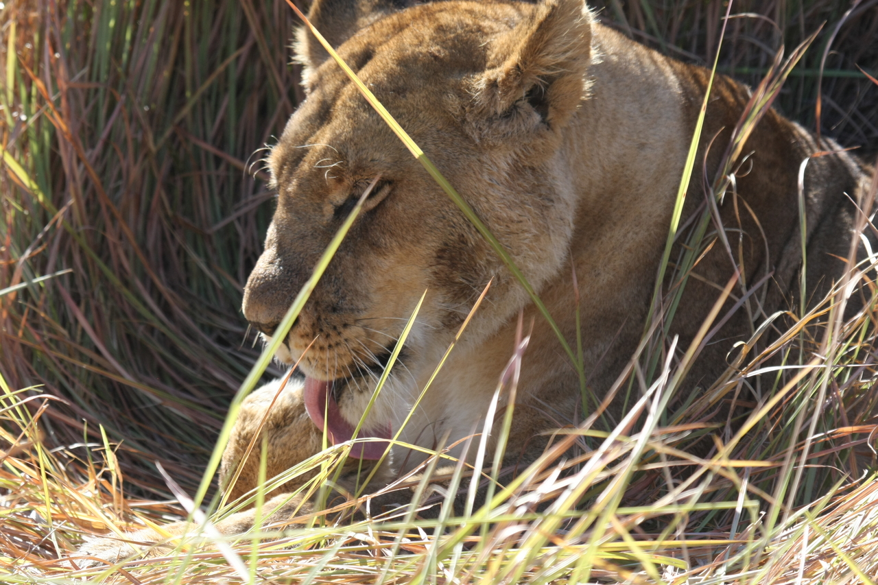 [18924] 2016_06_28_04_18_40_Africa_Canon_EOS_40D_IMG__10244.jpg