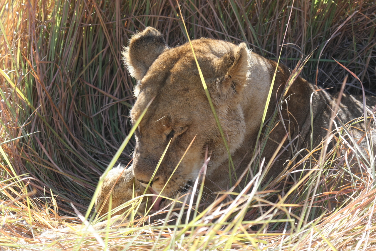 [18932] 2016_06_28_04_18_42_Africa_Canon_EOS_40D_IMG__02801.jpg