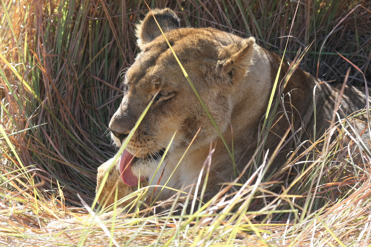 [18939] 2016_06_28_04_18_43_Africa_Canon_EOS_40D_IMG__02803.jpg