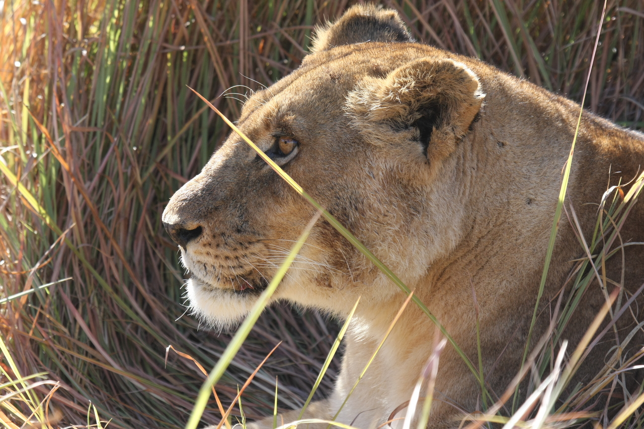 [18948] 2016_06_28_04_18_49_Africa_Canon_EOS_40D_IMG__02807.jpg