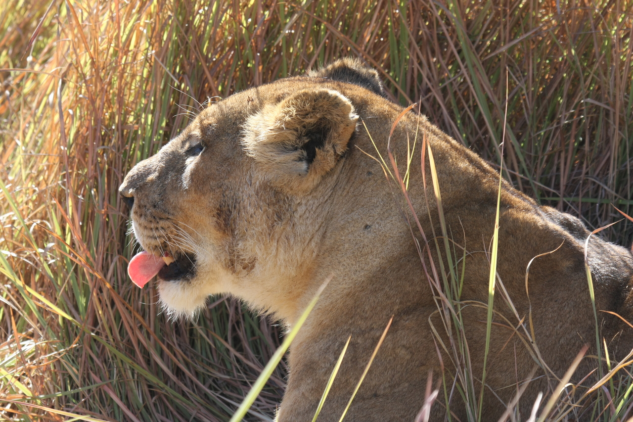 [18965] 2016_06_28_04_19_10_Africa_Canon_EOS_40D_IMG__02813.jpg