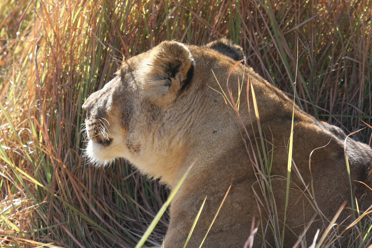 [18971] 2016_06_28_04_19_11_Africa_Canon_EOS_40D_IMG__02815.jpg