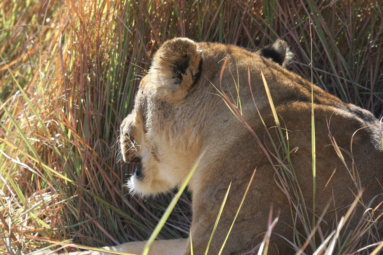 [18994] 2016_06_28_04_21_13_Africa_Canon_EOS_40D_IMG__02820.jpg