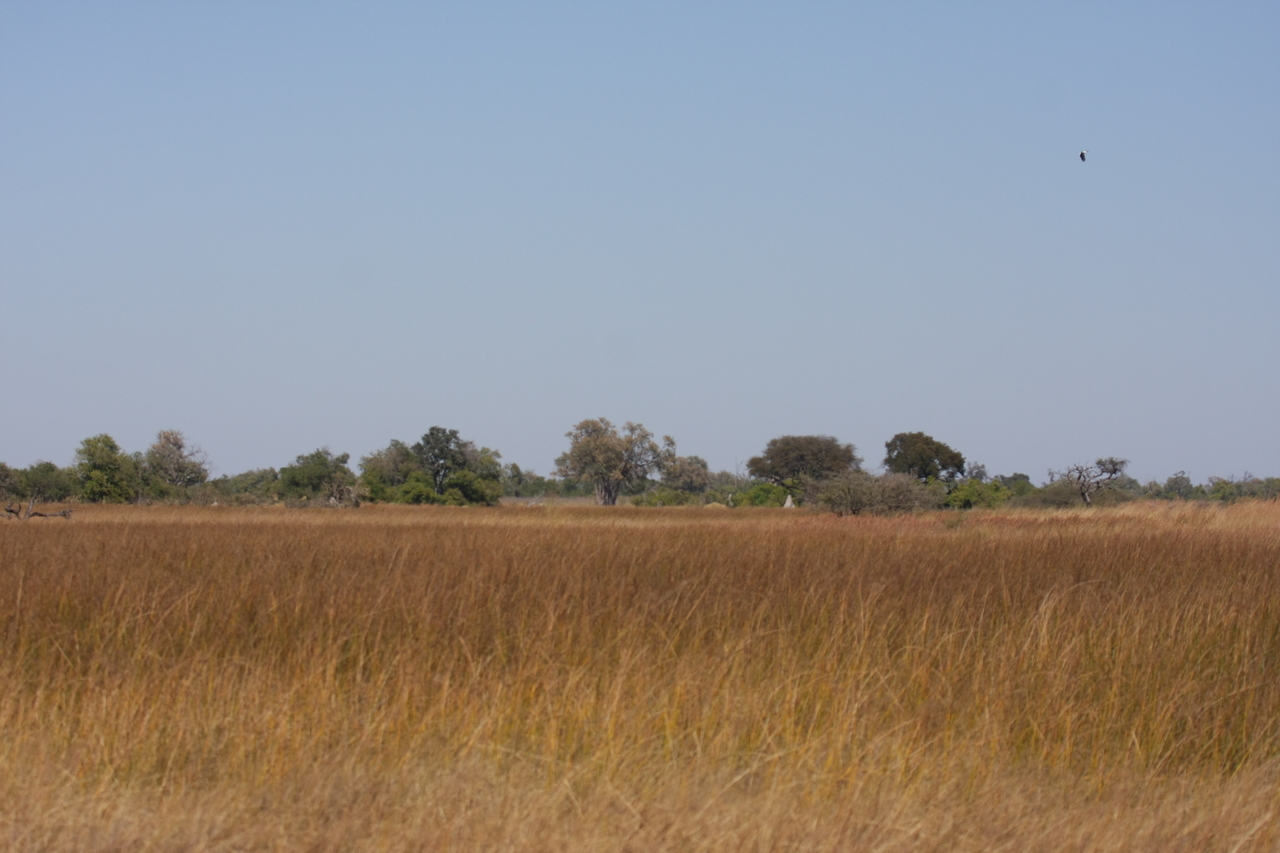 [19515] 2016_06_28_05_16_59_Africa_Canon_EOS_40D_IMG__03006.jpg