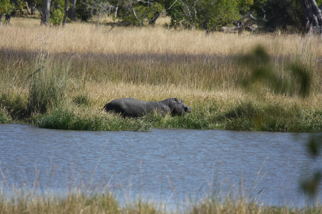 [19561] 2016_06_28_05_23_36_Africa_Canon_EOS_40D_IMG__03024.jpg