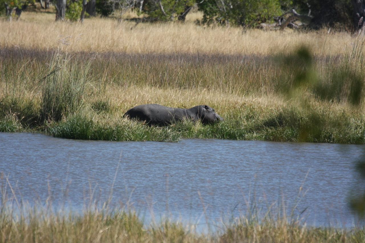 [19570] 2016_06_28_05_23_39_Africa_Canon_EOS_40D_IMG__03027.jpg