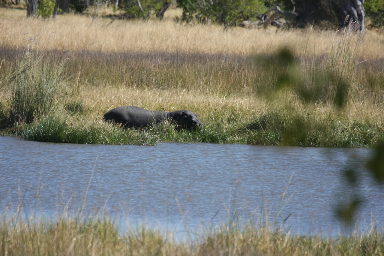 [19578] 2016_06_28_05_23_42_Africa_Canon_EOS_40D_IMG__00643.jpg