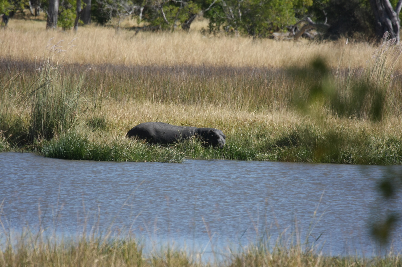 [19594] 2016_06_28_05_23_48_Africa_Canon_EOS_40D_IMG__03036.jpg