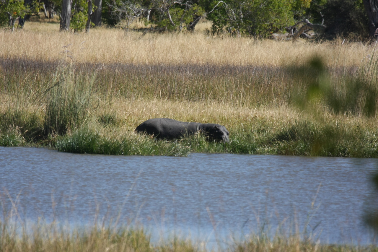 [19603] 2016_06_28_05_23_49_Africa_Canon_EOS_40D_IMG__03039.jpg