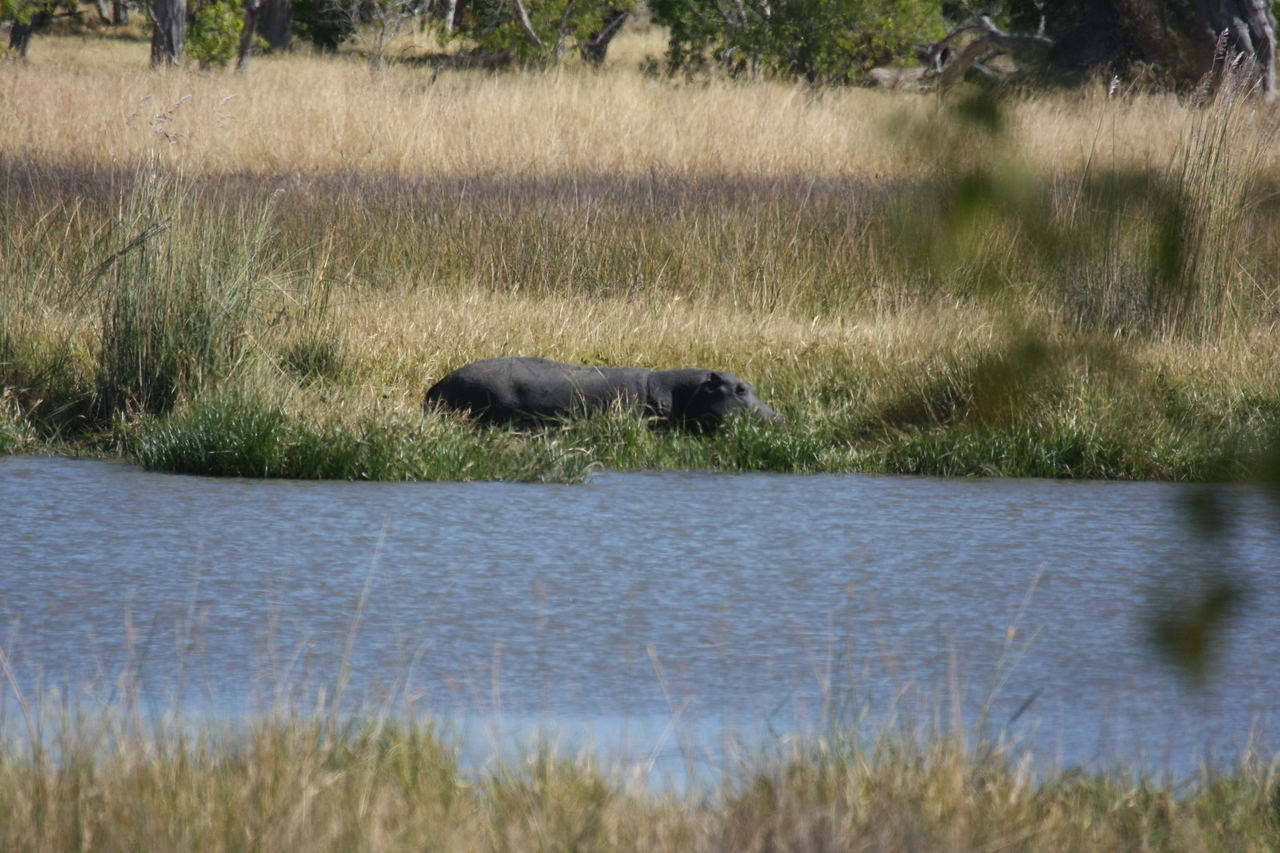 [19610] 2016_06_28_05_24_04_Africa_Canon_EOS_40D_IMG__03040.jpg