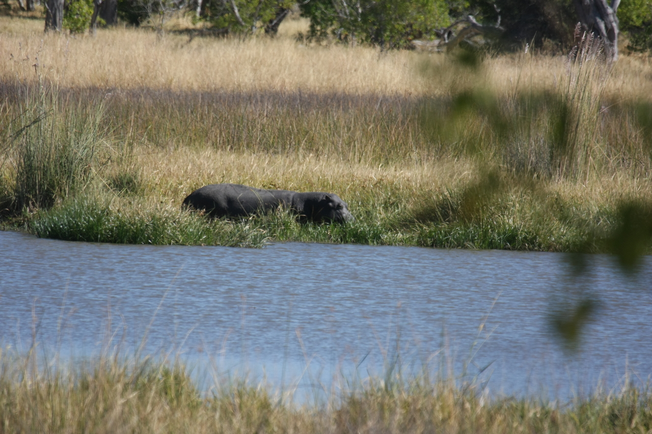 [19624] 2016_06_28_05_24_24_Africa_Canon_EOS_40D_IMG__03047.jpg