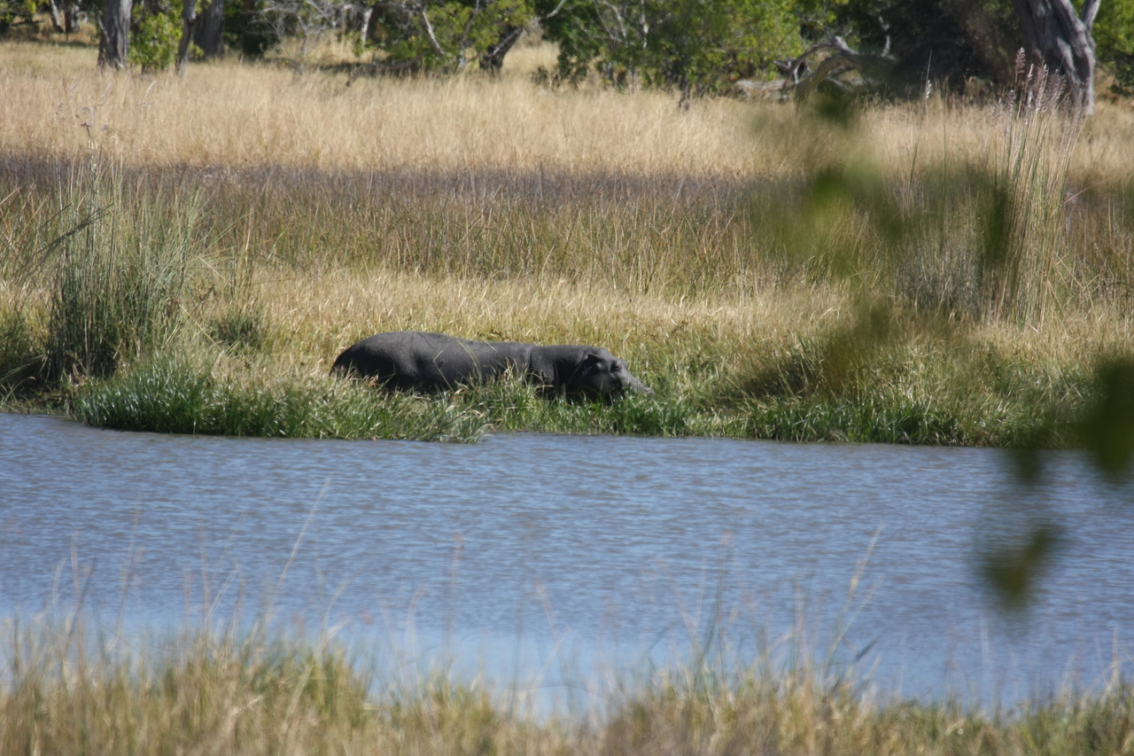 [19630] 2016_06_28_05_24_29_Africa_Canon_EOS_40D_IMG__03048.jpg