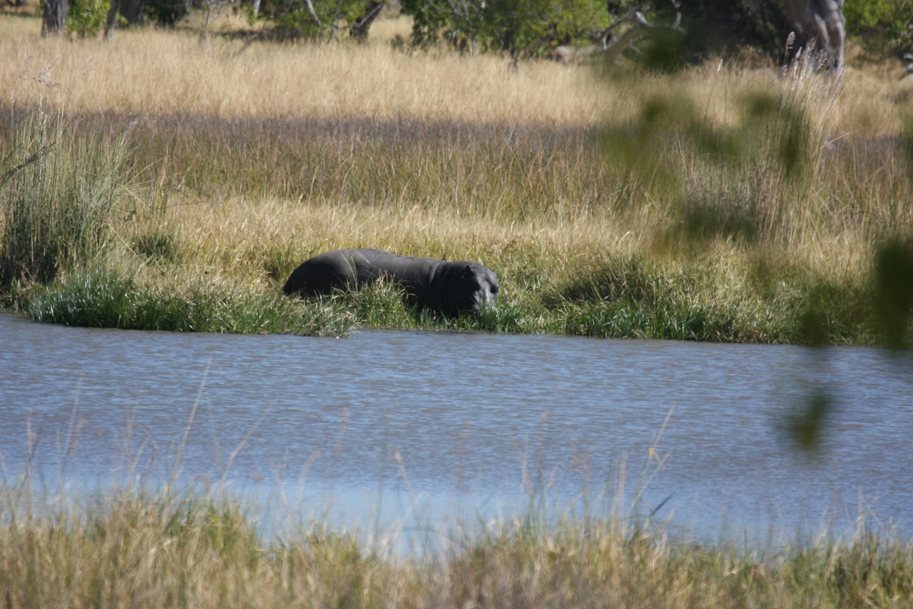 [19635] 2016_06_28_05_25_03_Africa_Canon_EOS_40D_IMG__00664.jpg