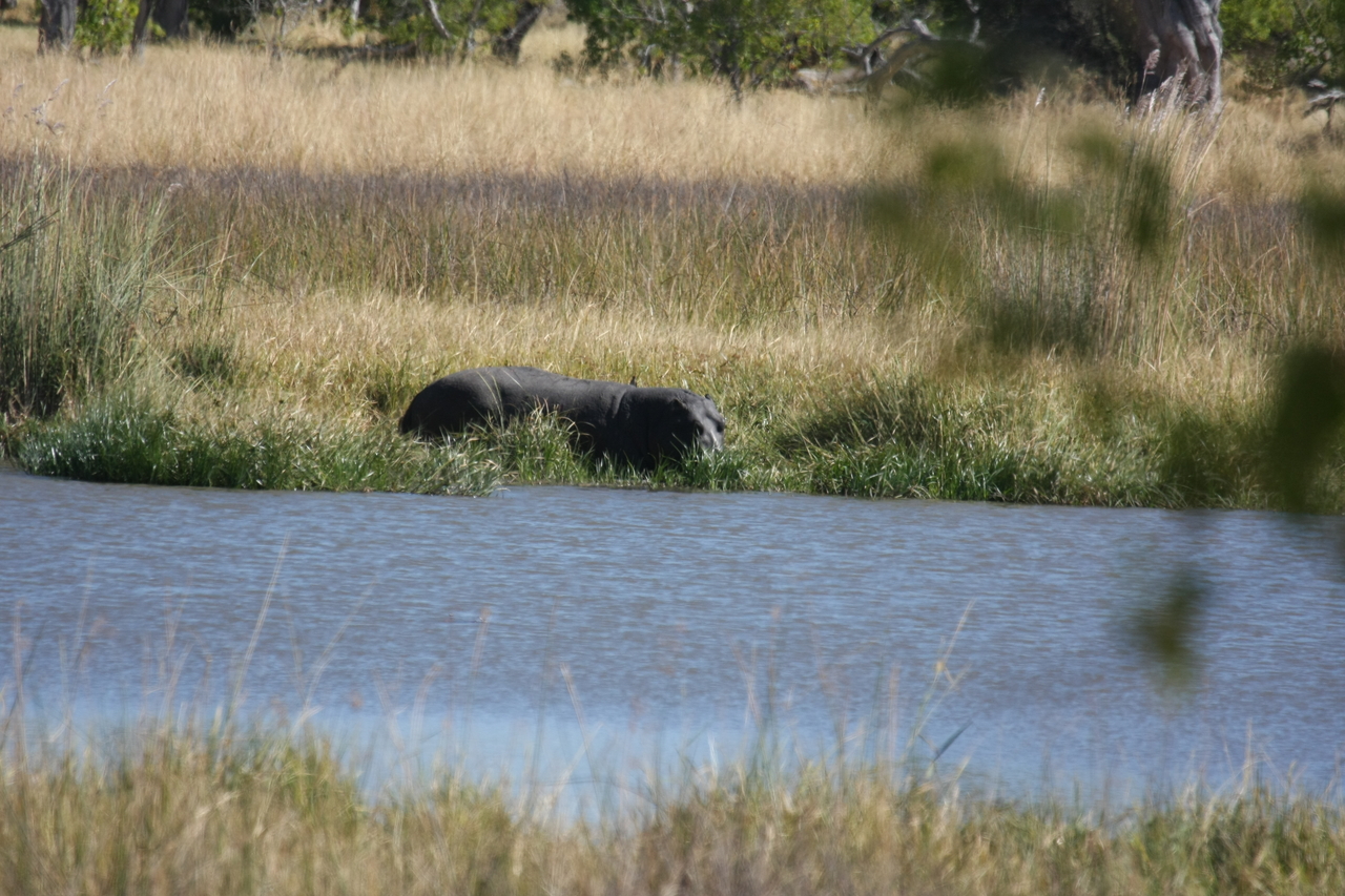 [19642] 2016_06_28_05_25_03_Africa_Canon_EOS_40D_IMG__10499.jpg