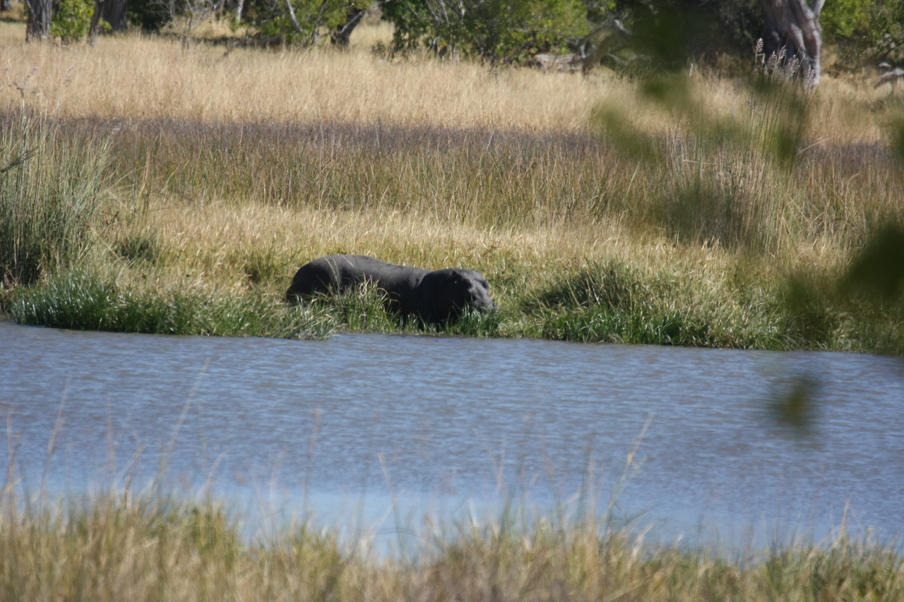 [19648] 2016_06_28_05_25_08_Africa_Canon_EOS_40D_IMG__03057.jpg