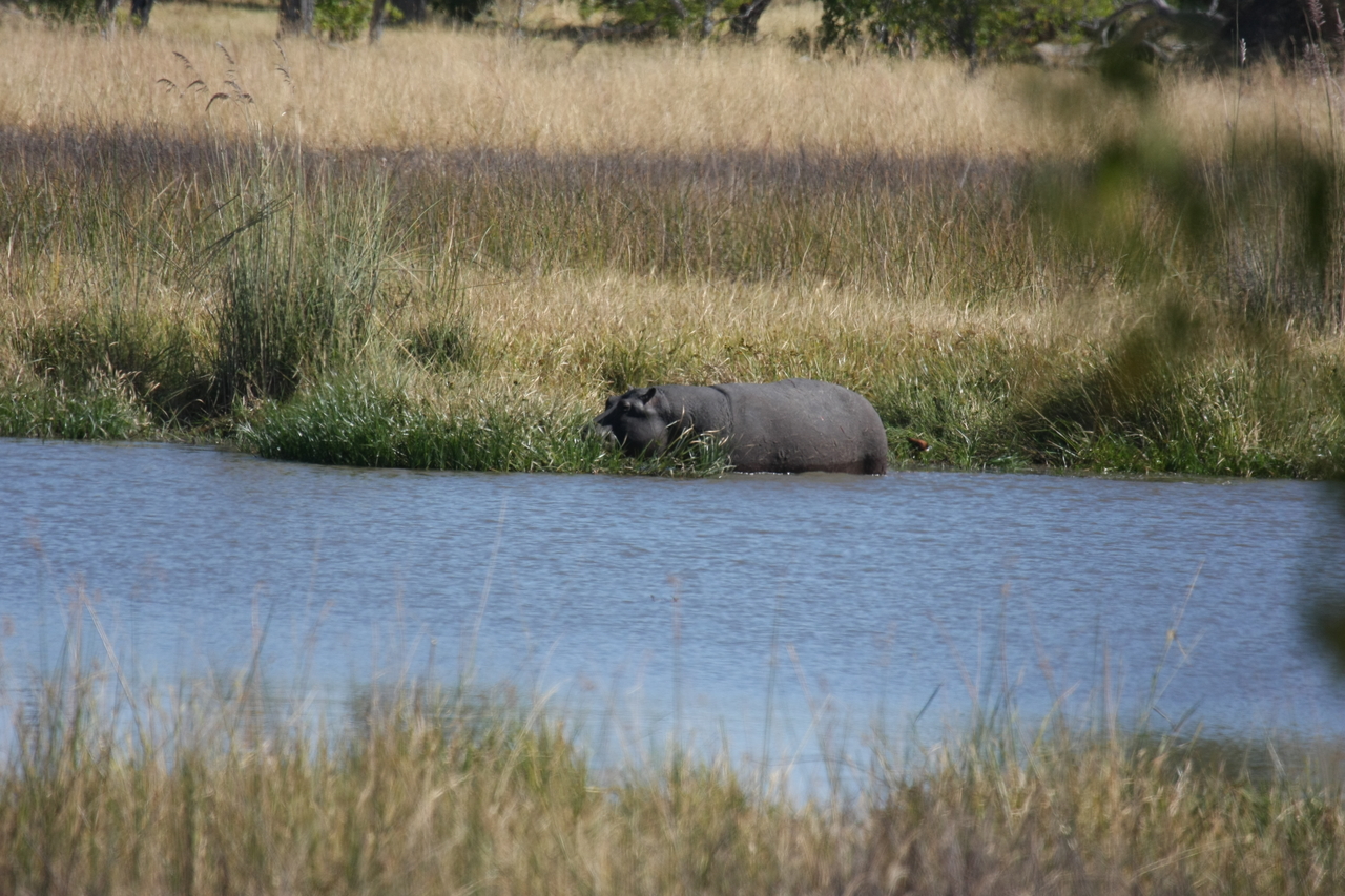 [19653] 2016_06_28_05_26_56_Africa_Canon_EOS_40D_IMG__00672.jpg