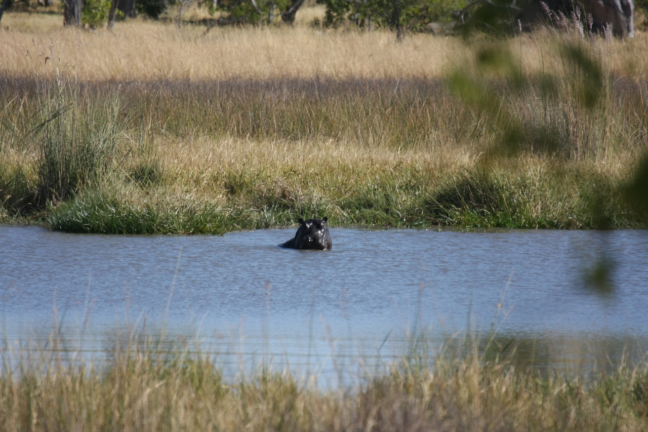 [19667] 2016_06_28_05_27_24_Africa_Canon_EOS_40D_IMG__03062.jpg