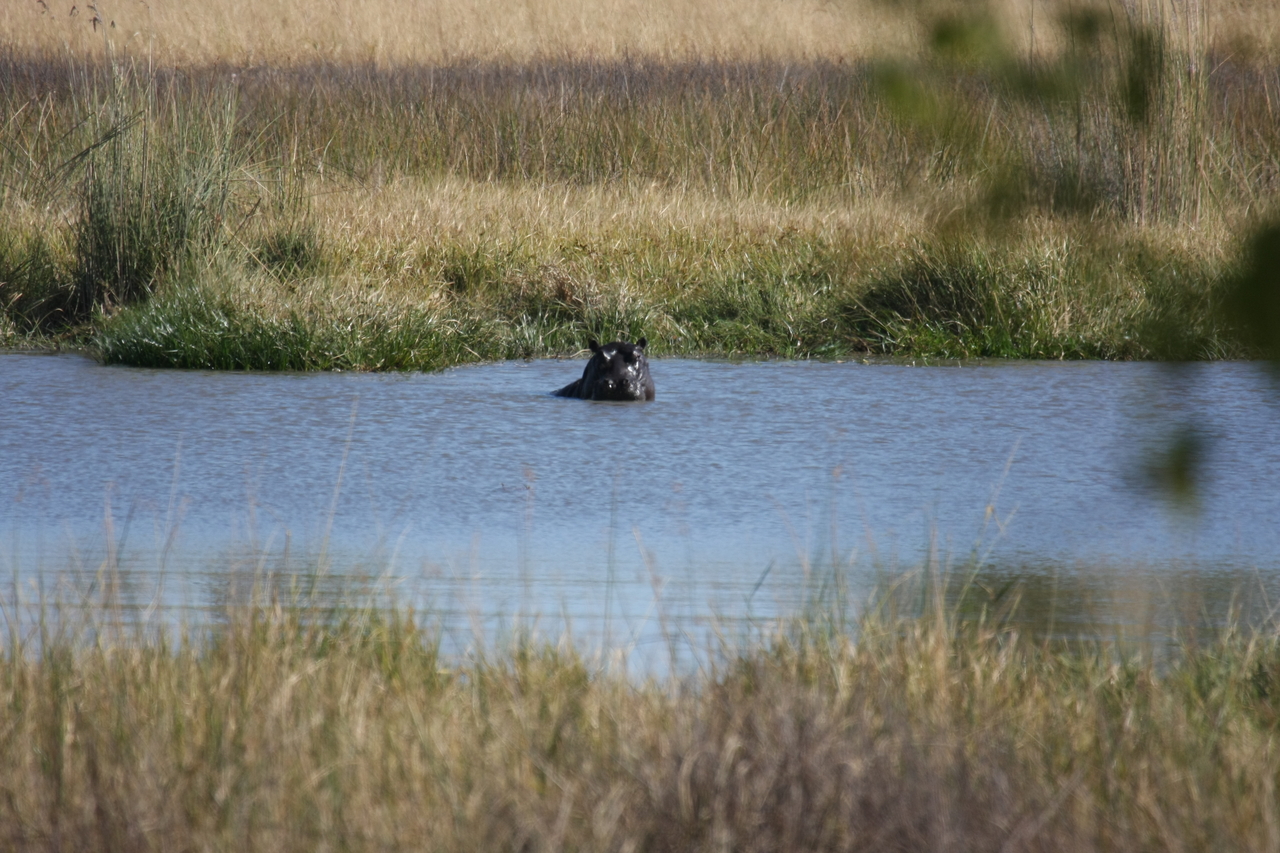 [19669] 2016_06_28_05_27_24_Africa_Canon_EOS_40D_IMG__03064.jpg
