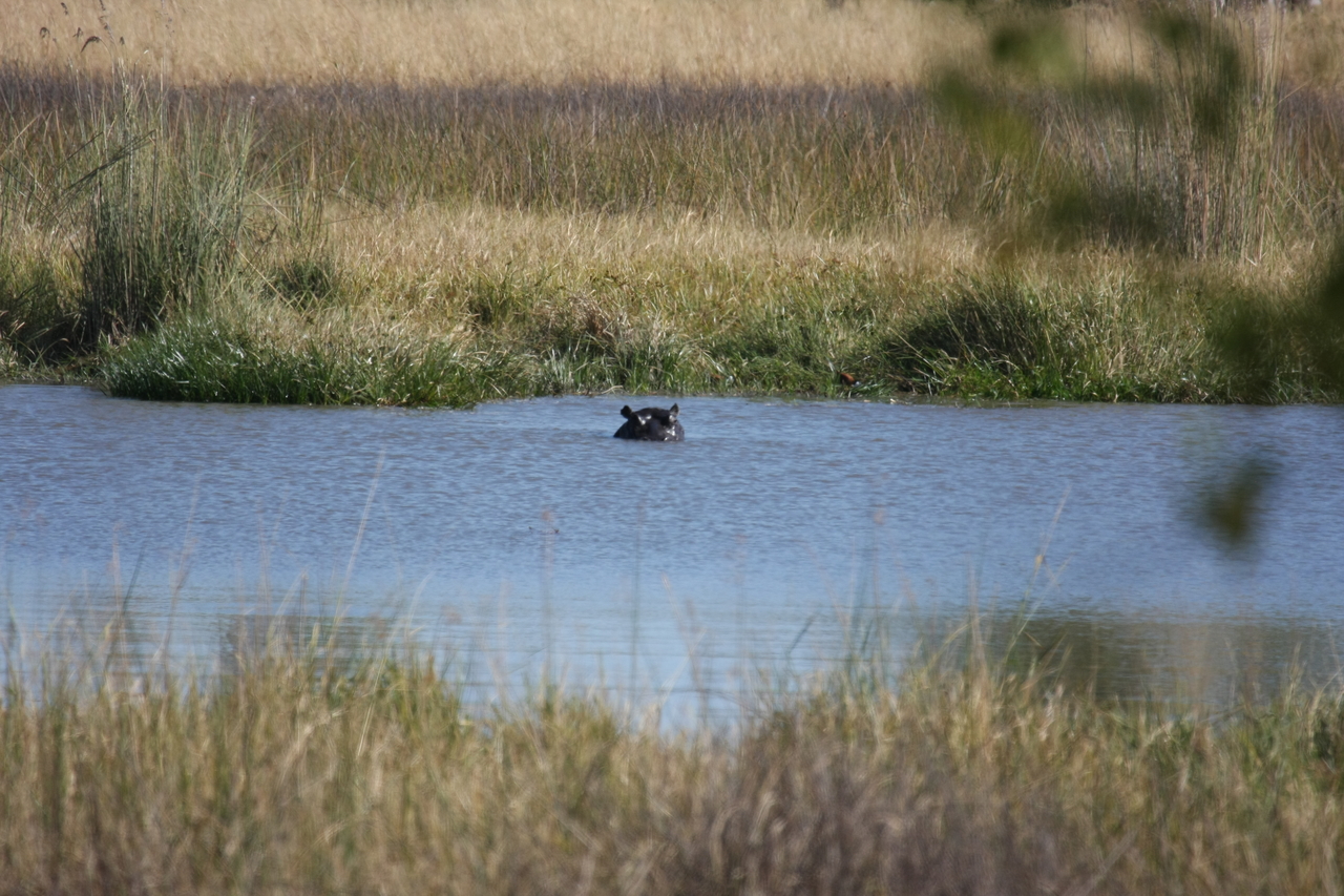 [19678] 2016_06_28_05_27_27_Africa_Canon_EOS_40D_IMG__00682.jpg