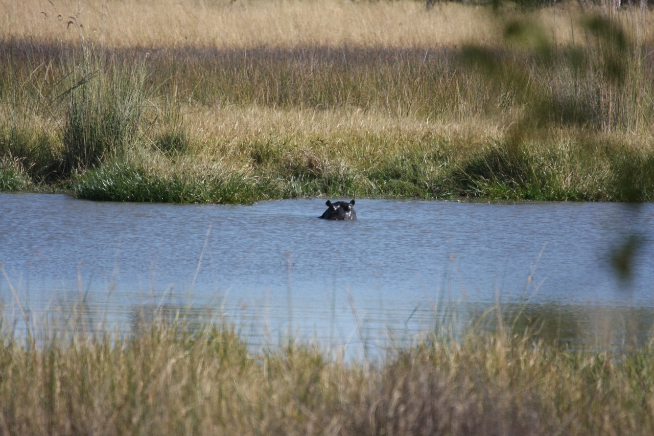 [19679] 2016_06_28_05_27_27_Africa_Canon_EOS_40D_IMG__03066.jpg