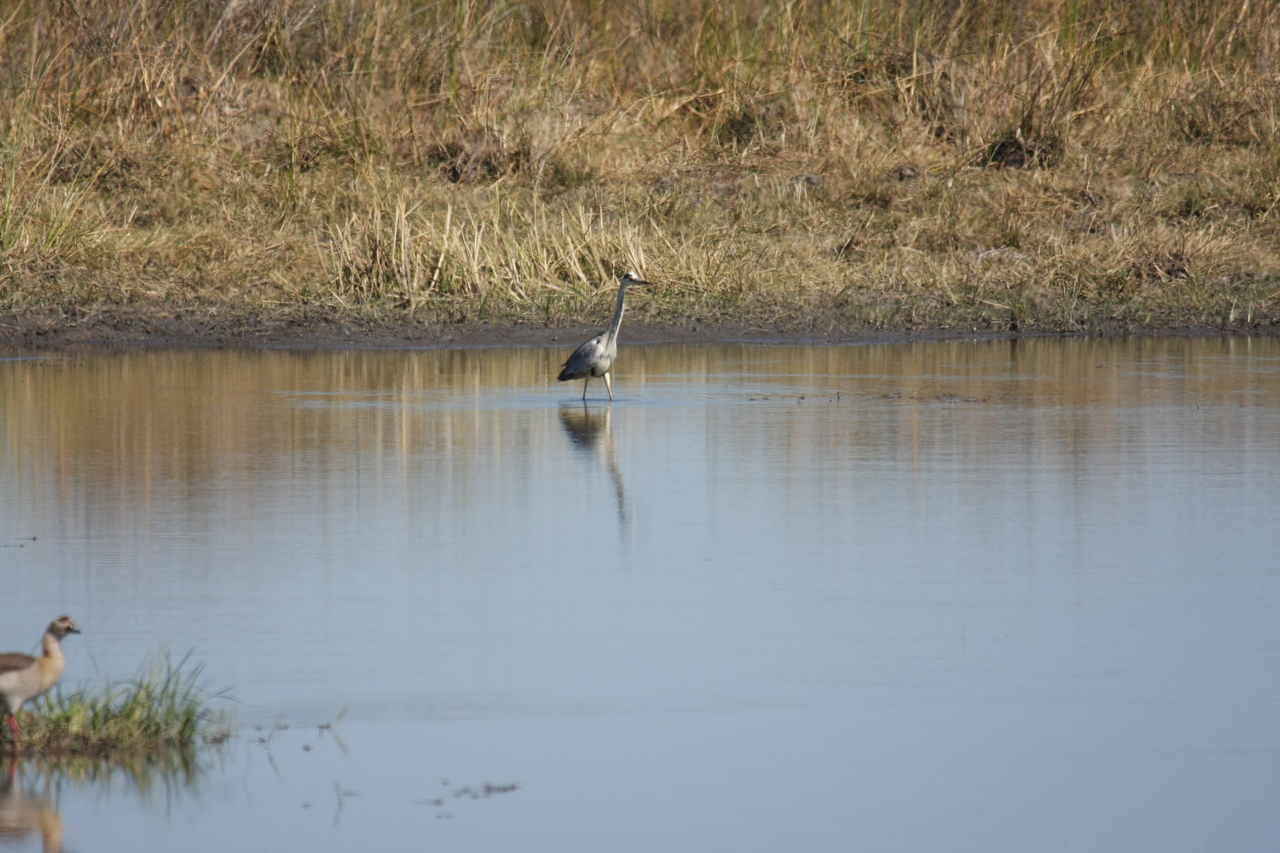 [19761] 2016_06_28_05_33_17_Africa_Canon_EOS_40D_IMG__10543.jpg