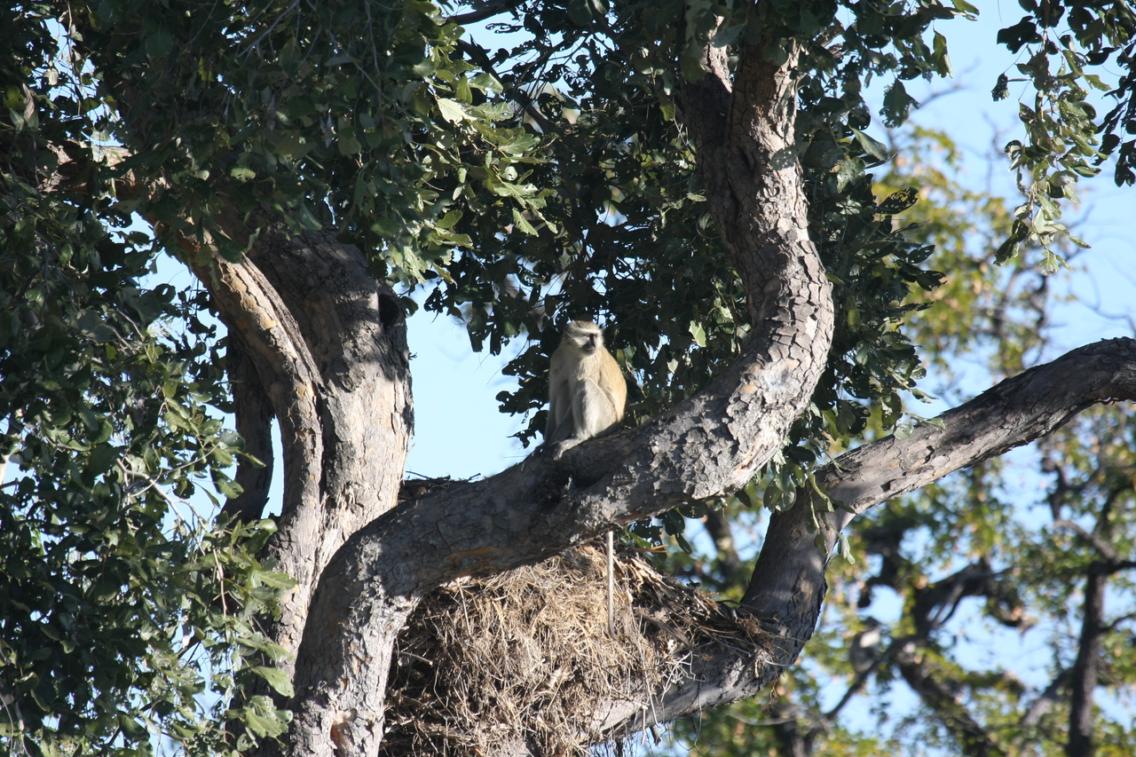 [20003] 2016_06_28_10_28_11_Africa_Canon_EOS_40D_IMG__10567.jpg