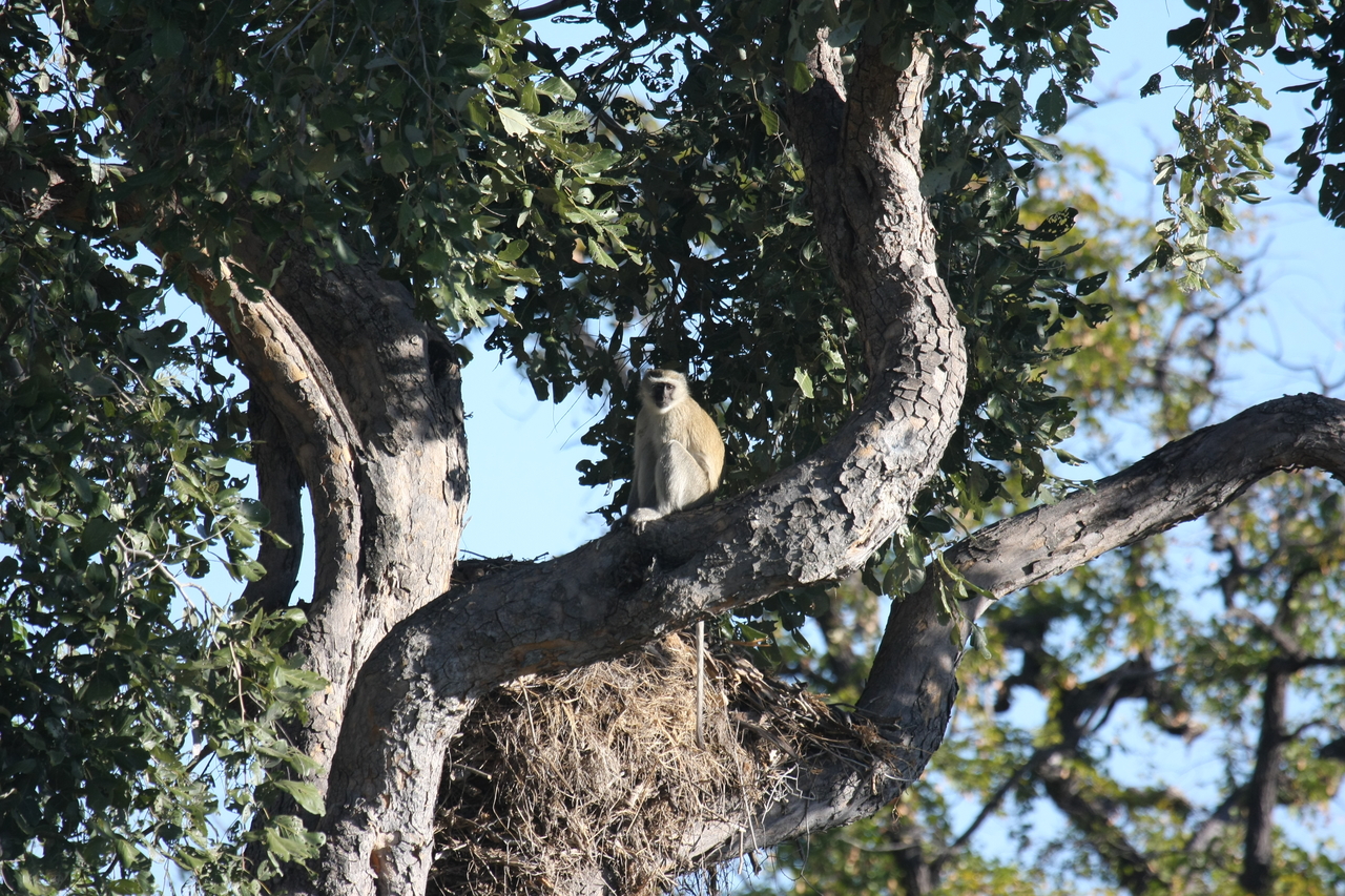 [20007] 2016_06_28_10_28_23_Africa_Canon_EOS_40D_IMG__03121.jpg