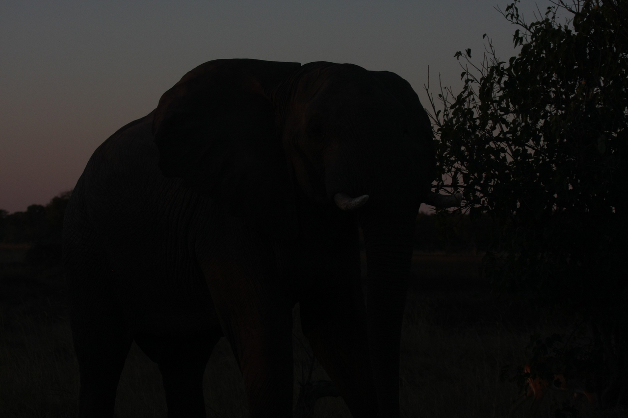 [20100] 2016_06_28_11_51_28_Africa_Canon_EOS_40D_IMG__03136.jpg