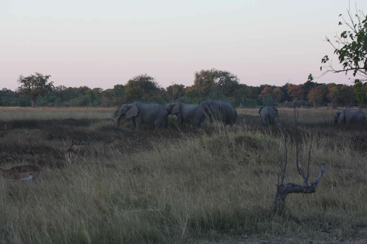[20127] 2016_06_28_11_52_42_Africa_Canon_EOS_40D_IMG__03143.jpg